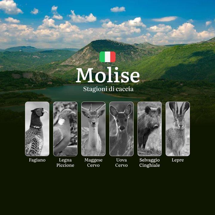 Stagioni Venatorie in Molise: Tutte le Aperture e Chiusure per Cinghiali, Lepri e Volpi