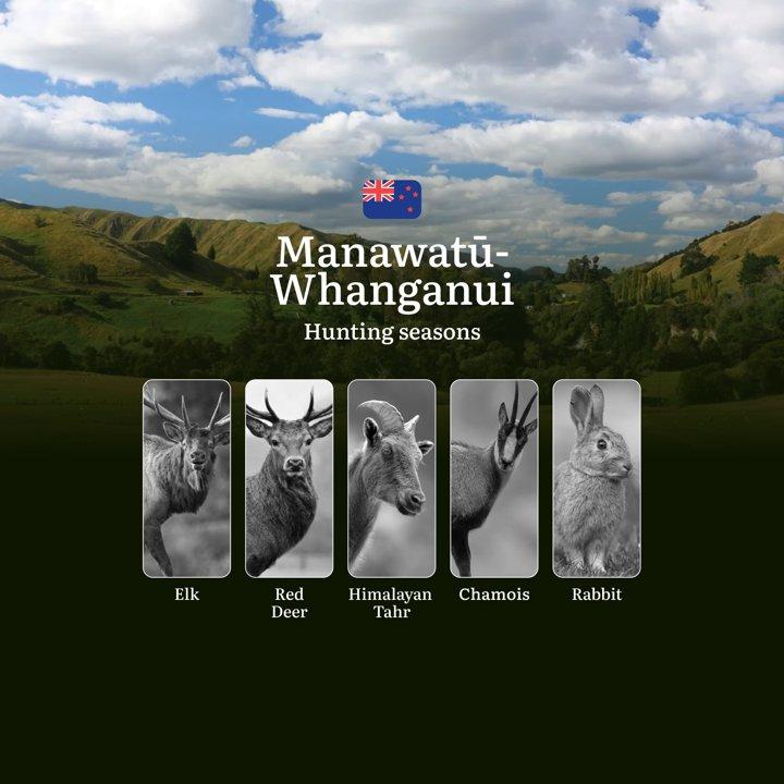Hunting in the MANAWATŪ-WHANGANUI Region: Seasons, Rules Regulations and Best Times for Hunting

<strong>Main</strong> Hunting Rules and Seasons in Manawatū-Whanganui

Hu