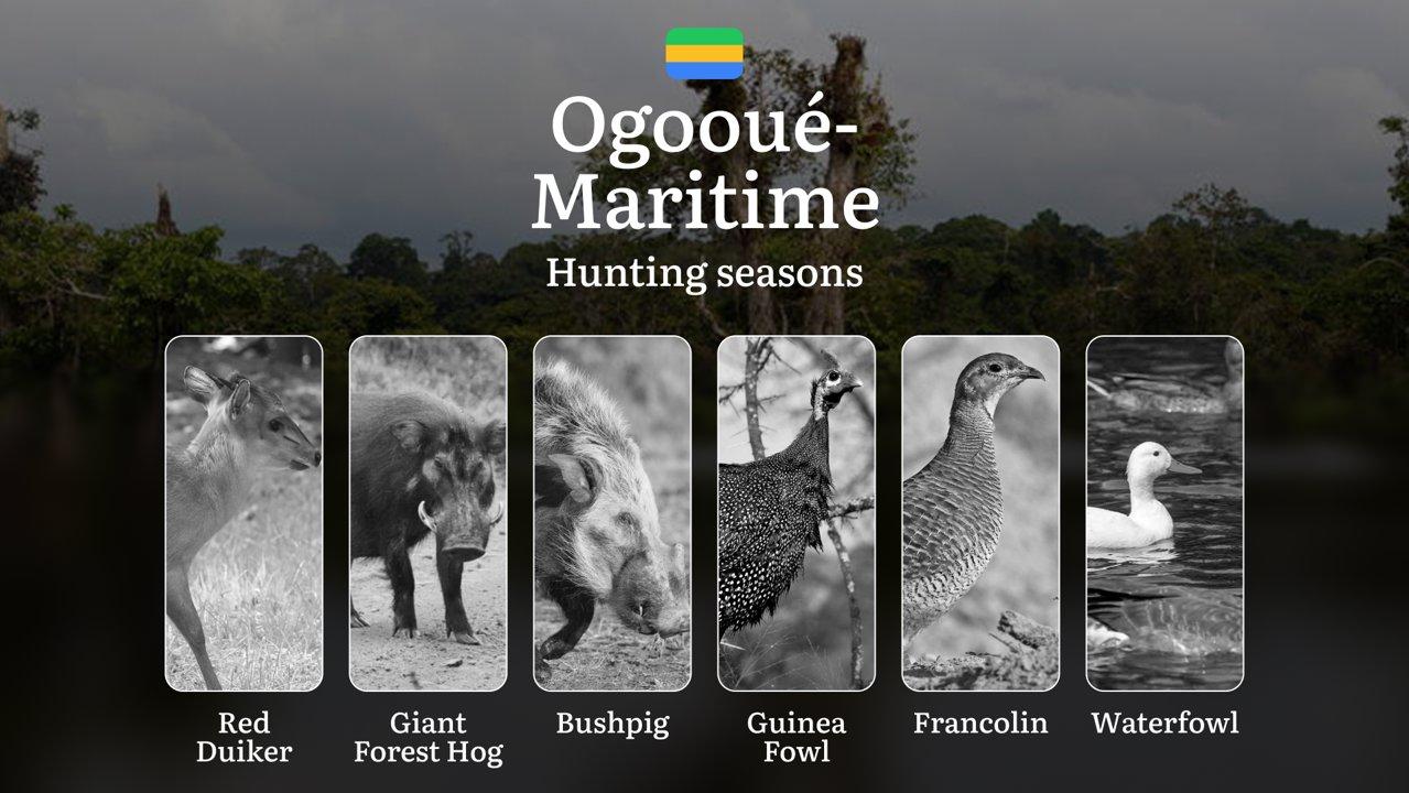 Hunting Seasons in OGOOUÉ-MARITIME: Key Hunting Periods, Regional Regulations, Legal Requirements, Protected Species and Seasonal Restrictions