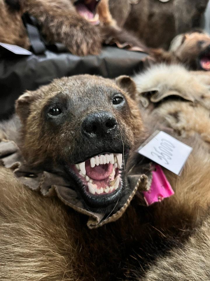 Компания для охоты 