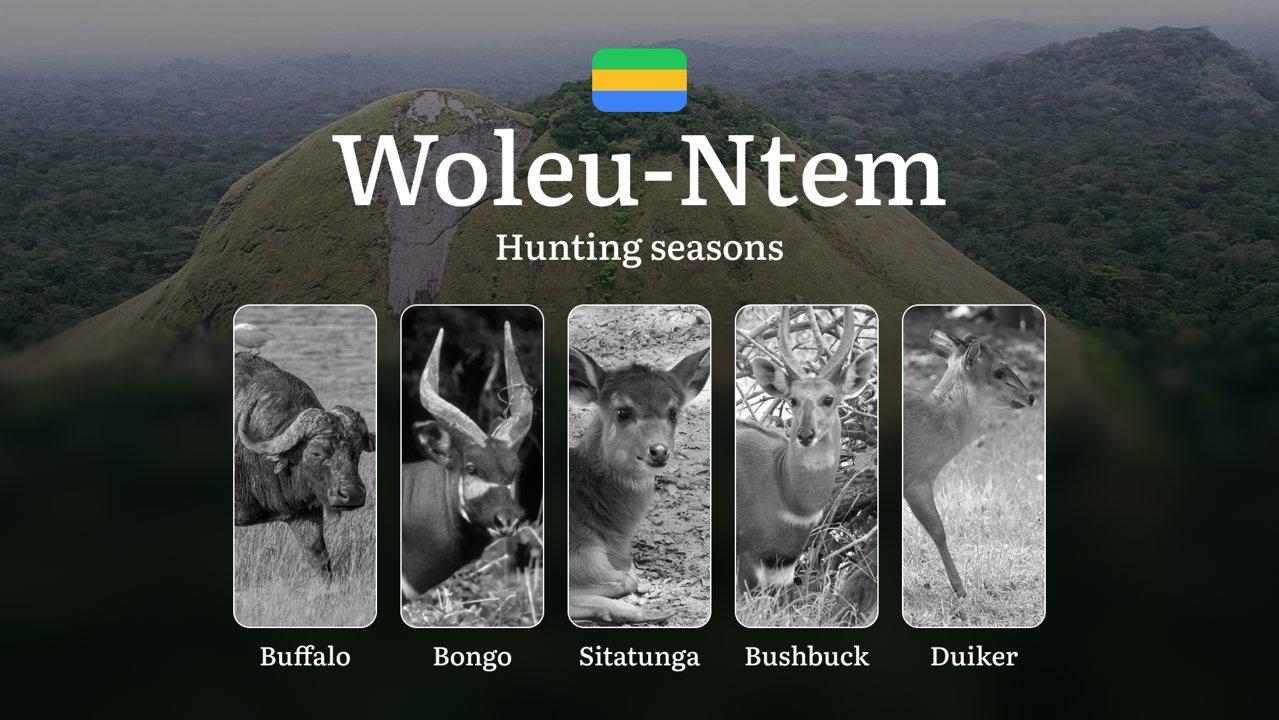 Hunting Seasons in WOLEU-NTEM: Optimal Timing, Required Permits, Penalties, Protected Species, Crucial Regulations and Restrictions