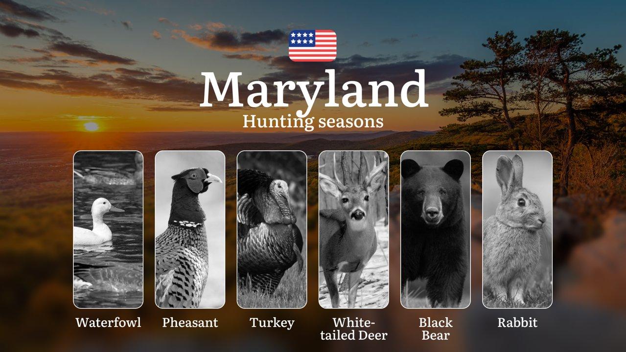 Hunting Seasons in Maryland, USA: Leases, Seasons, Open and Close Dates, Licenses, Rules for Hunting