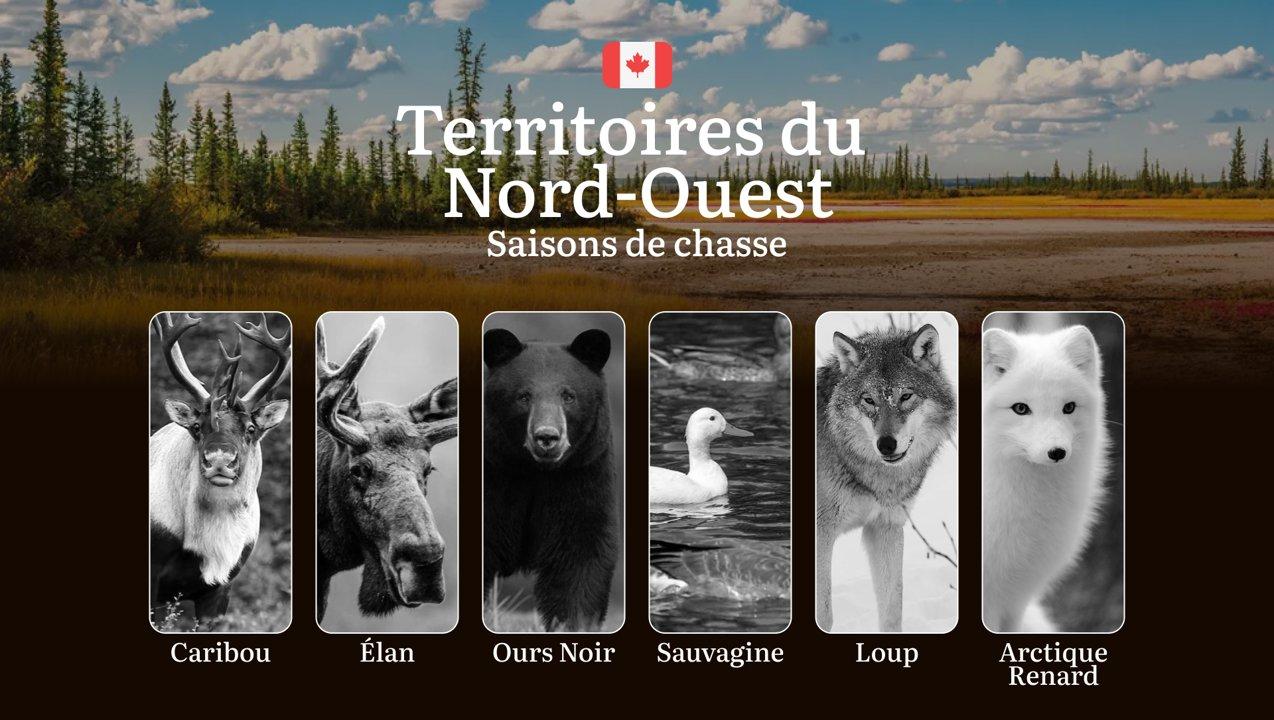 Les périodes <strong>de</strong> chasse dans les TERRITOIRES DU NORD-OUEST (Canada): Maîtriser les réglementations, optimiser vos sorties grâce aux calendriers saisonnier