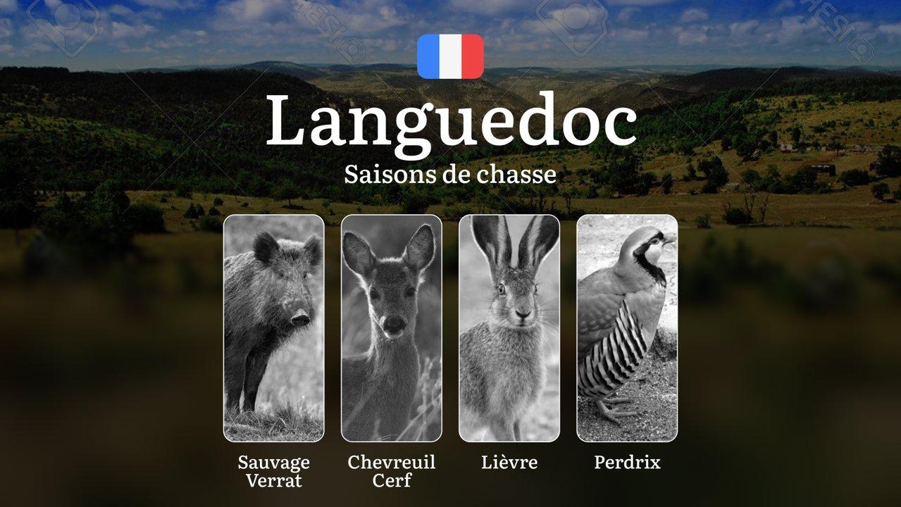 Saisons de Chasse en LANGUEDOC: Dates d'Ouverture et Fermeture,  Règles Générales, Permis Obligatoires et Conseils Pratiques