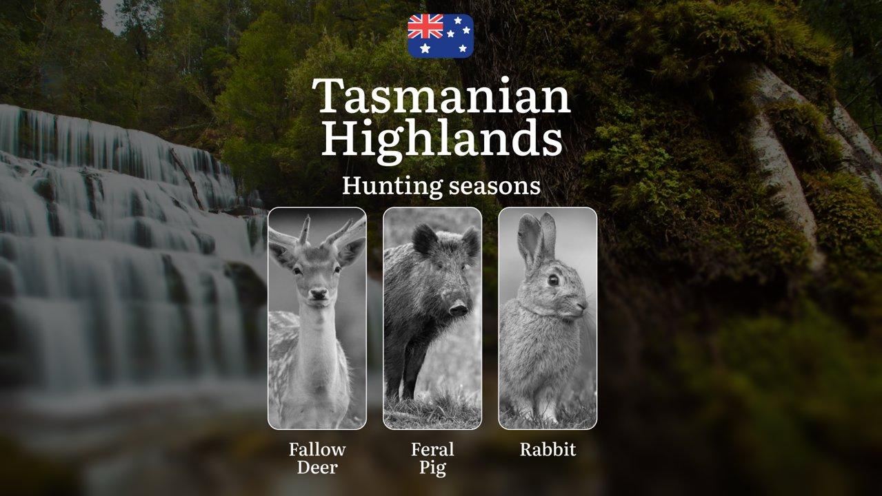 Tasmanian Highlands Hunting Calendar: When the Alpine Wilderness Calls - Fallow Deer, Wallaby and Mountain Pursuits

Hunting Regulations & Seasonal Framework in The Tasma
