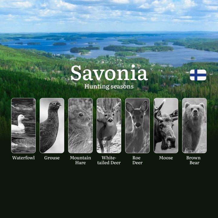 Hunting Seasons in SAVONIA (SAVO): Opening and Closing Dates, Game Activity,  License Requirements and Vital Rules