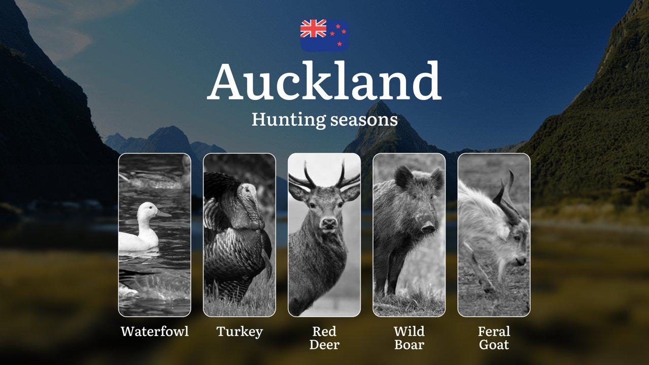 Seasons, Rules, and Best Times for Hunting and Factors Affecting Hunting Seasons: Hunting in AUCKLAND

General Hunting Regulations and Seasons in Auckland

Hunting season