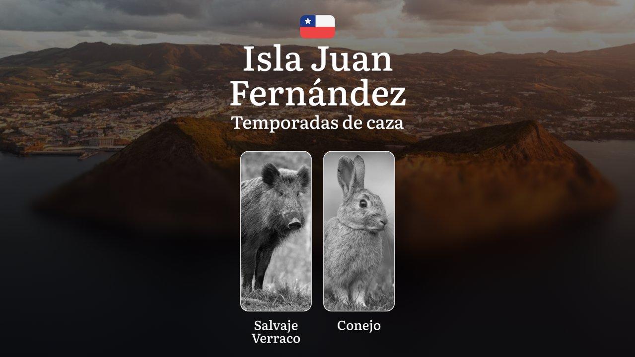 Temporadas de caza en la Isla Juan Fernández: fechas y normas de caza, prohibiciones y restricciones, consejos sobre tácticas y equipamiento