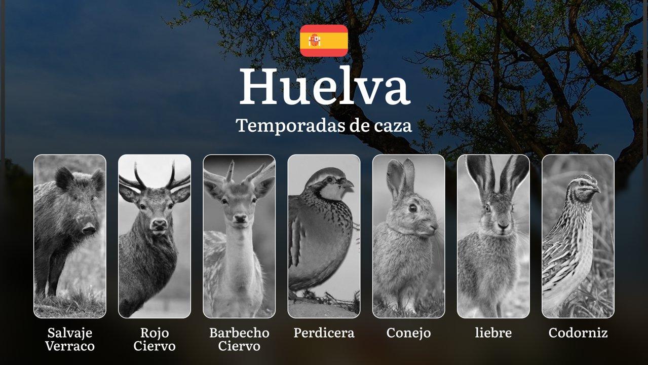 Caza en HUELVA: Temporadas y períodos de caza, Normativas Andaluzas y Proceso para Obtener Licencias