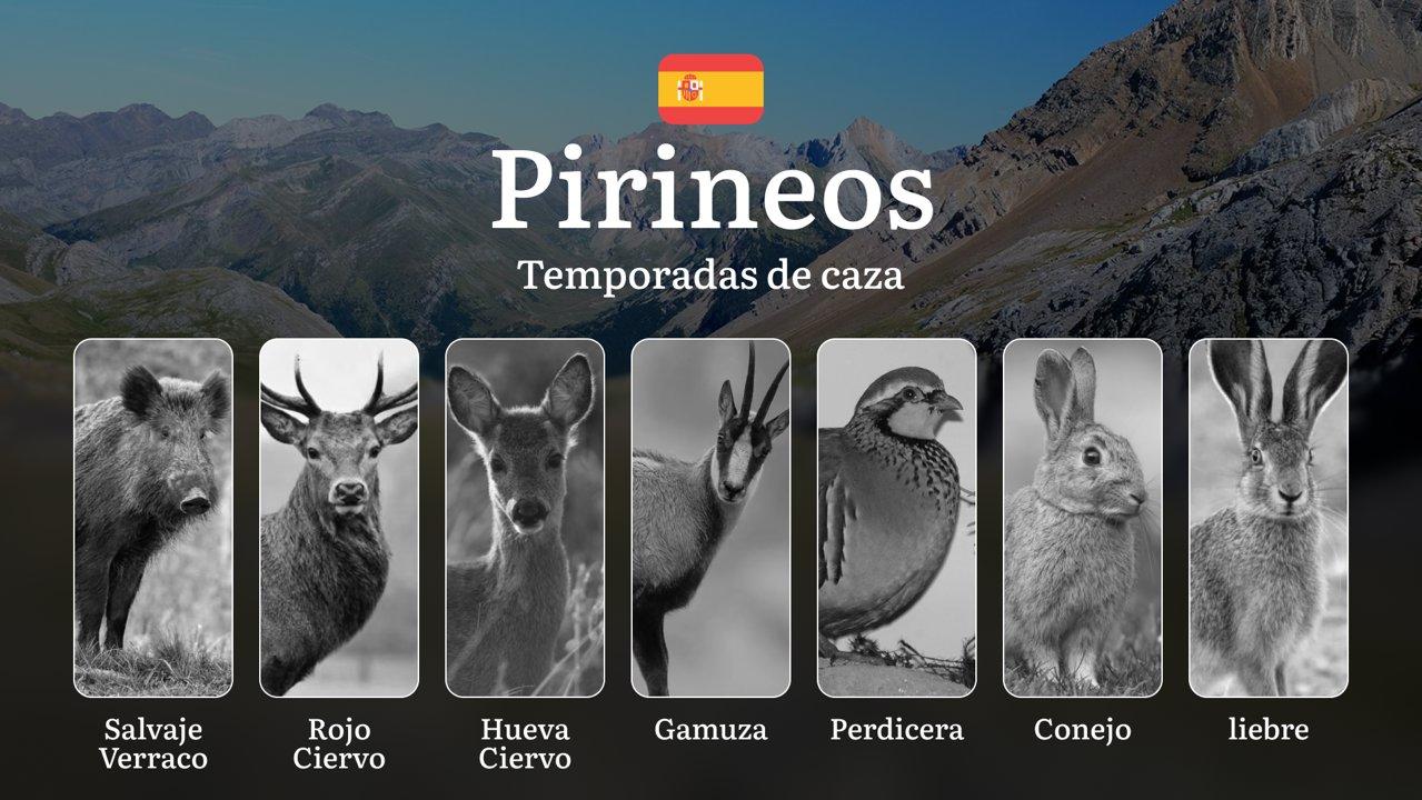 PIRINEOS Cinegéticos: Temporadas y períodos de caza, Calendario por Altitud, Legislación Española y Trofeos de Montaña