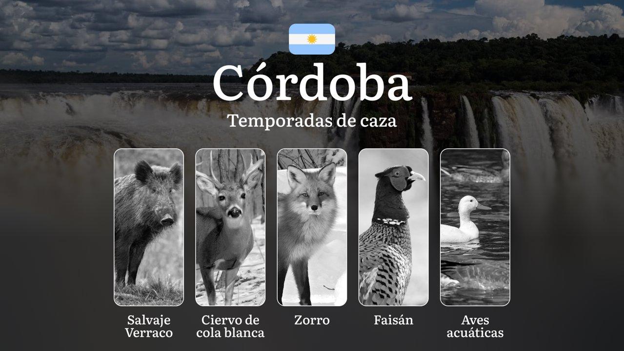 Cuándo y cómo cazar en la provincia de Córdoba, Argentina: guía completa sobre temporadas, licencias y normas, consejos sobre táctica y equipamiento