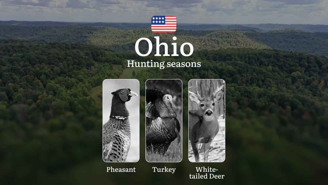 Seasons of Hunting in Ohio, USA: Deer Hunting Dates, Licenses, Regulations, Restrictions and Prohibitions

How Hunting Seasons Are Regulated in Ohio

Deer hunting in the 