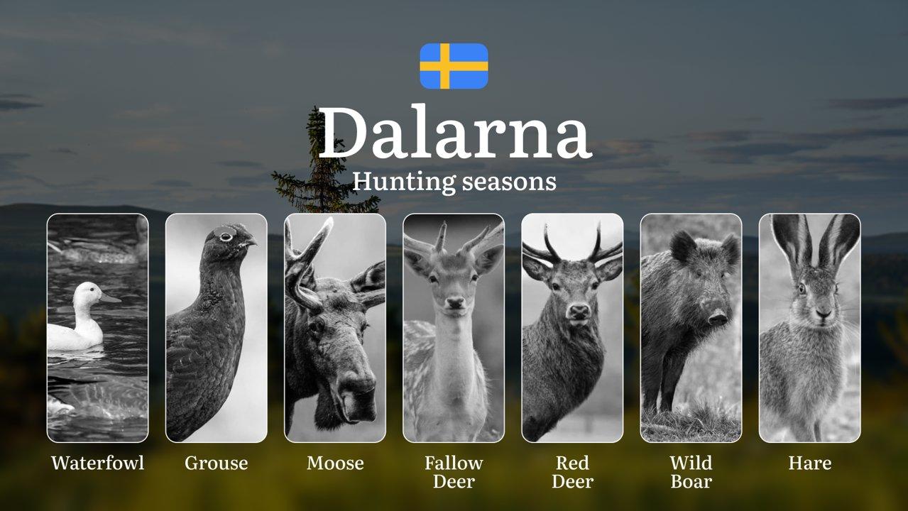 Hunting Periods and Local Rules in DALARNA: Species You Can Hunt Throughout the Year, Seasonal Activity of Game, and the Steps to Get a Legal Hunting License in the Regio