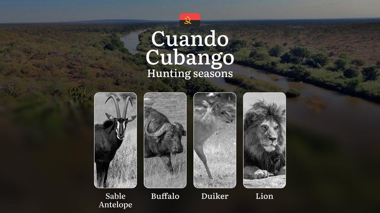 Hunting Seasons of Cuando Cubango: Exploring General Hunting Rules, Legislation and Permits, Hunter Events and Cultural Experiences