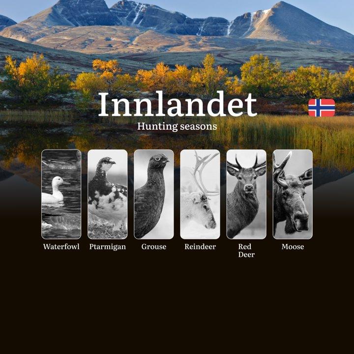 Hunting Seasons <strong>in</strong> Innlandet: Regulations, Permits, and Time for Hunting, Documents and Organizations

Planning your hunting trip to Innlandet? This regi