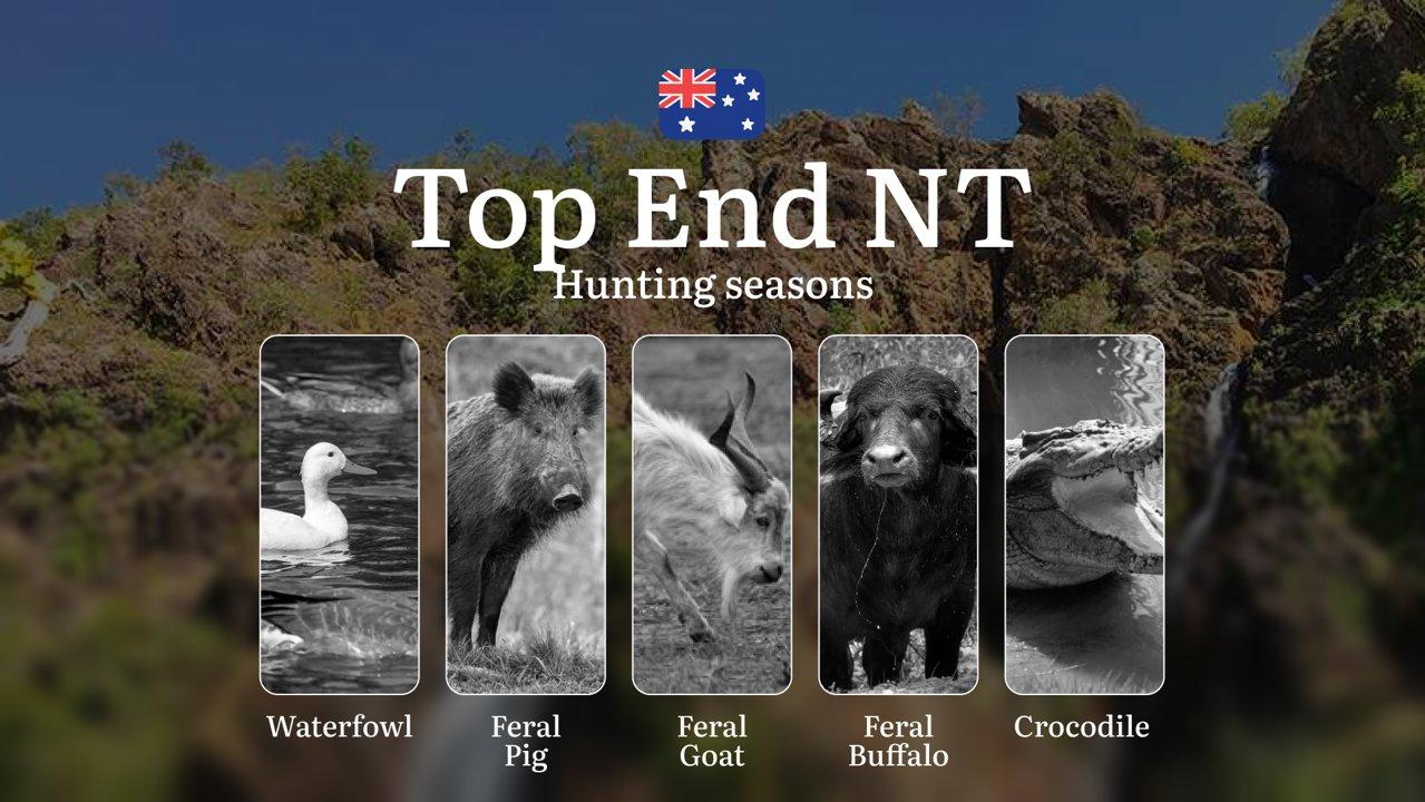Top End NT Hunting Seasons: When the Monsoon Dictates the Chase - Buffalo, Banteng and Wetland Pursuits

Hunting Regulations & Seasonal Framework in Top End NT

The Top E