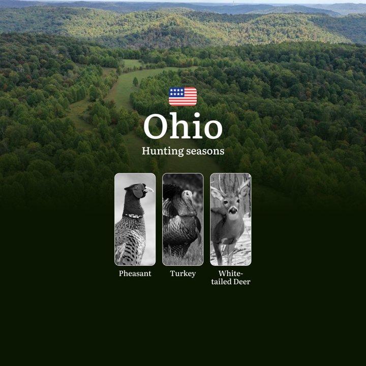Seasons of Hunting in Ohio, USA: Deer Hunting Dates, Licenses, Regulations, Restrictions and Prohibitions

How Hunting Seasons Are Regulated in Ohio

Deer hunting in the 
