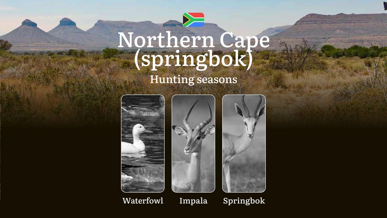 Hunting Seasons in Springbok Northern Cape, South Africa: Seasonality of Hunting, Hunting Permits and Limits, Rules and Tactics for Hunters