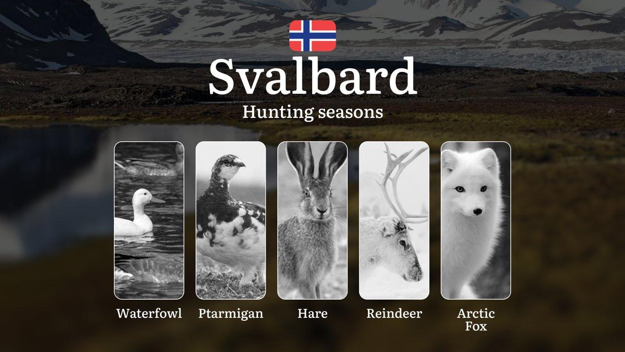 Hunting Periods and Permits in Svalbard: A Detailed Look at Game Movement Throughout the Year, Seasonal Limits, and How to Apply for a Hunting License in the Area

Svalba