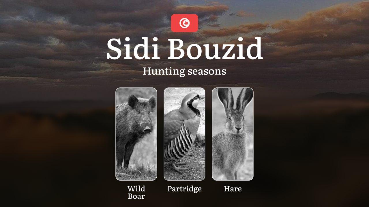 Hunting Seasons in SIDI BOUZID: Optimal Game Periods, Seasonal Regulations, Game Activity, Legal Consequences, Practical Recommendations, Prohibitions and Restrictions