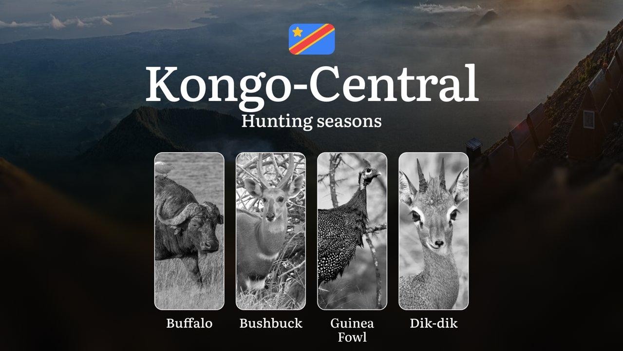 Seasonal Hunting Periods in Kongo-Central: Seasonal Game Patterns, Licensing Rules, Documents, and Hunting Closures 

Hunting in Kongo-Central, a province of the Democrat