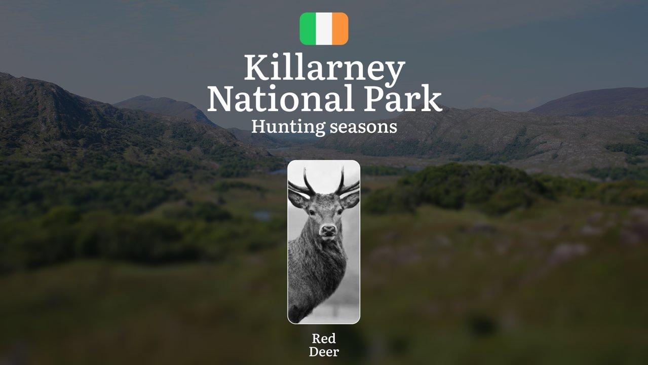 KILLARNEY NATIONAL PARK Hunting Seasons Decoded: Legal Dates, Prime Game Windows, and Essential Regulations in Ireland's Wilderness

General Hunting Rules and Seasons in 