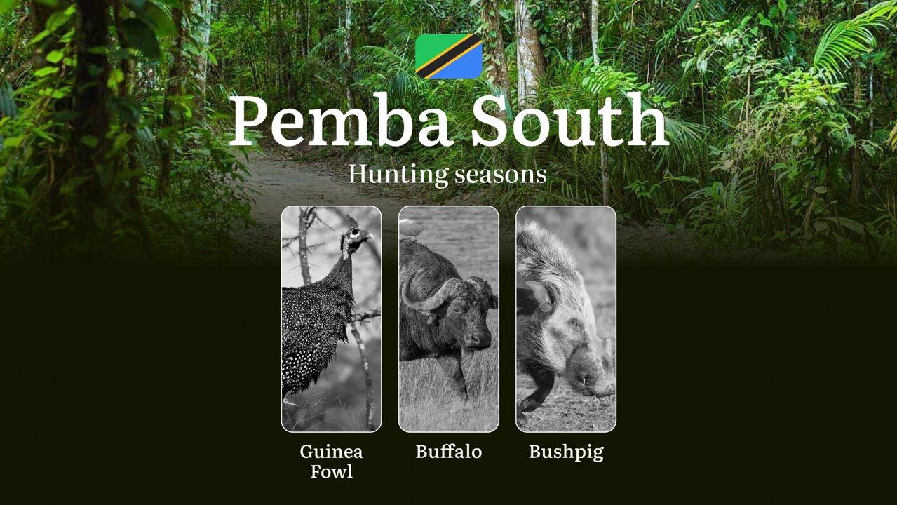 Designated Hunting Months in Pemba South: Regional Guidelines, Hunting License Application Process, Penalties for Off-Season Hunting, Recommendations on Timing, Gear, and Tactics