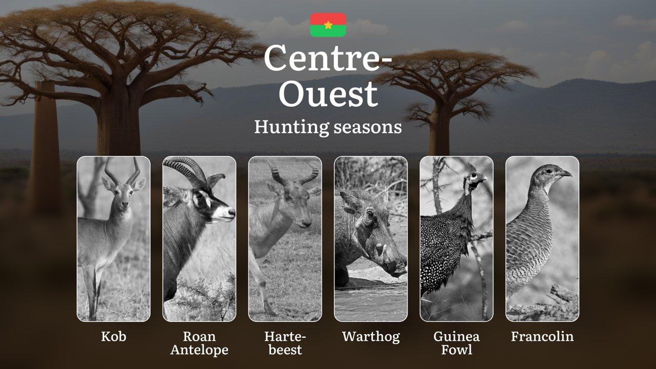 Hunting Seasons in CENTRE-OUEST: Legal Requirements, Restrictions, General Rules, Seasonal Patterns,  Protected Species, Penalties for Violating Regulations and Optimal Hunting Periods