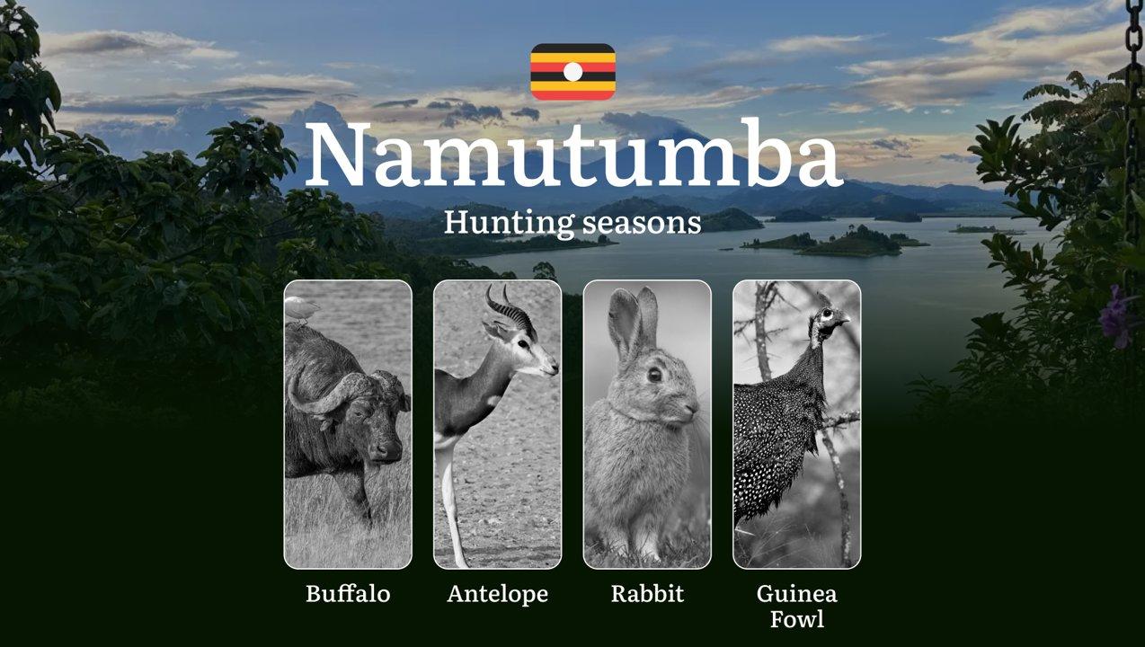 Seasonal Hunting Periods in Namutumba: Limits and Seasonal Prohibitions, Licensing Conditions, Fines and Legal Effects of Non-Compliance, Strategic Preparation, Best Hunting Times, Gear Choices 