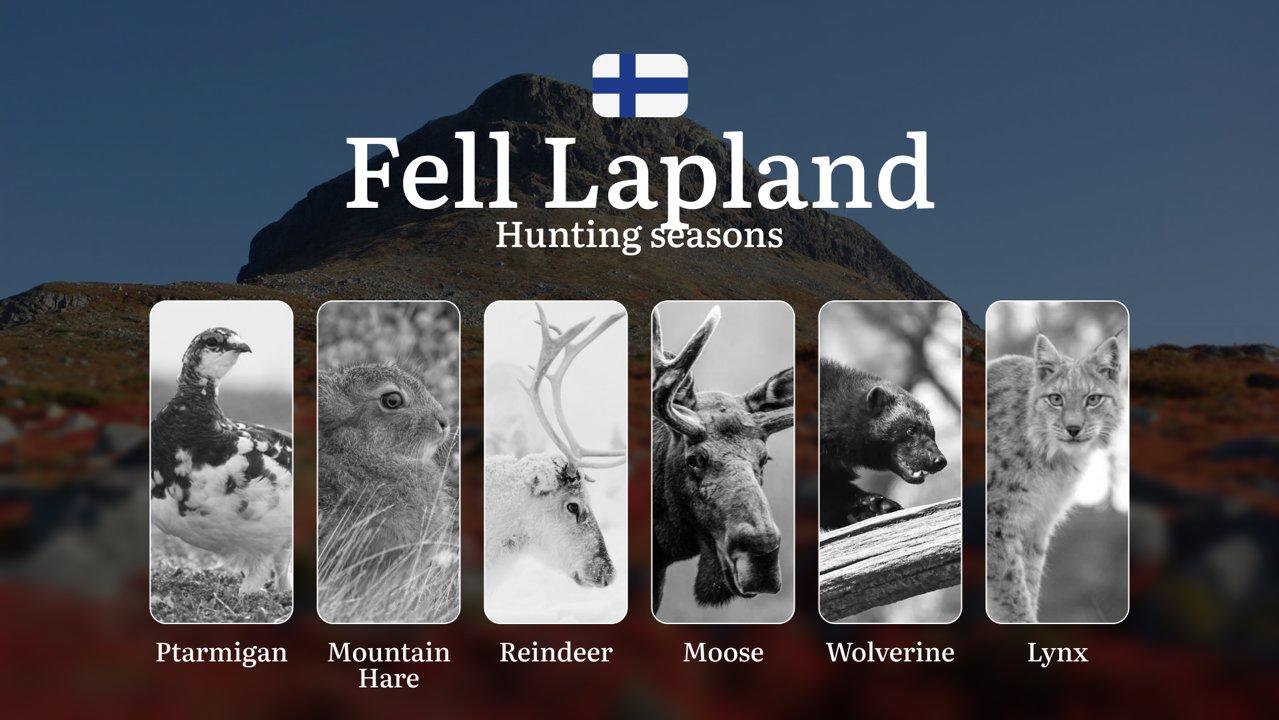 Hunting Seasons in FELL LAPLAND: Required Documents, Restrictions, General Rules, Penalties for Violating Regulations and Optimal Hunting Periods

Fell Lapland, located i