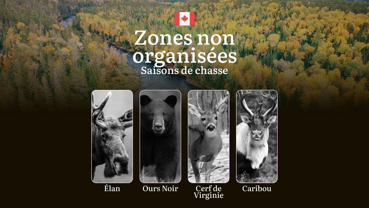 Les périodes de chasse dans les ZONES NON ORGANISÉES du Canada: Les dates d'ouverture/fermeture, l'obtention des permis, les règles essentielles 
