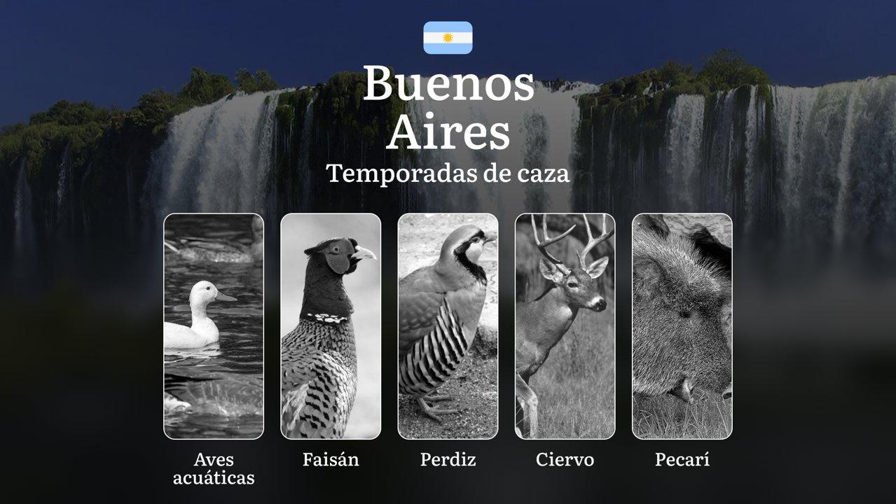 Fechas de caza en Argentina en la región de Buenos Aires: épocas, regulaciones y licencias, características y restricciones
