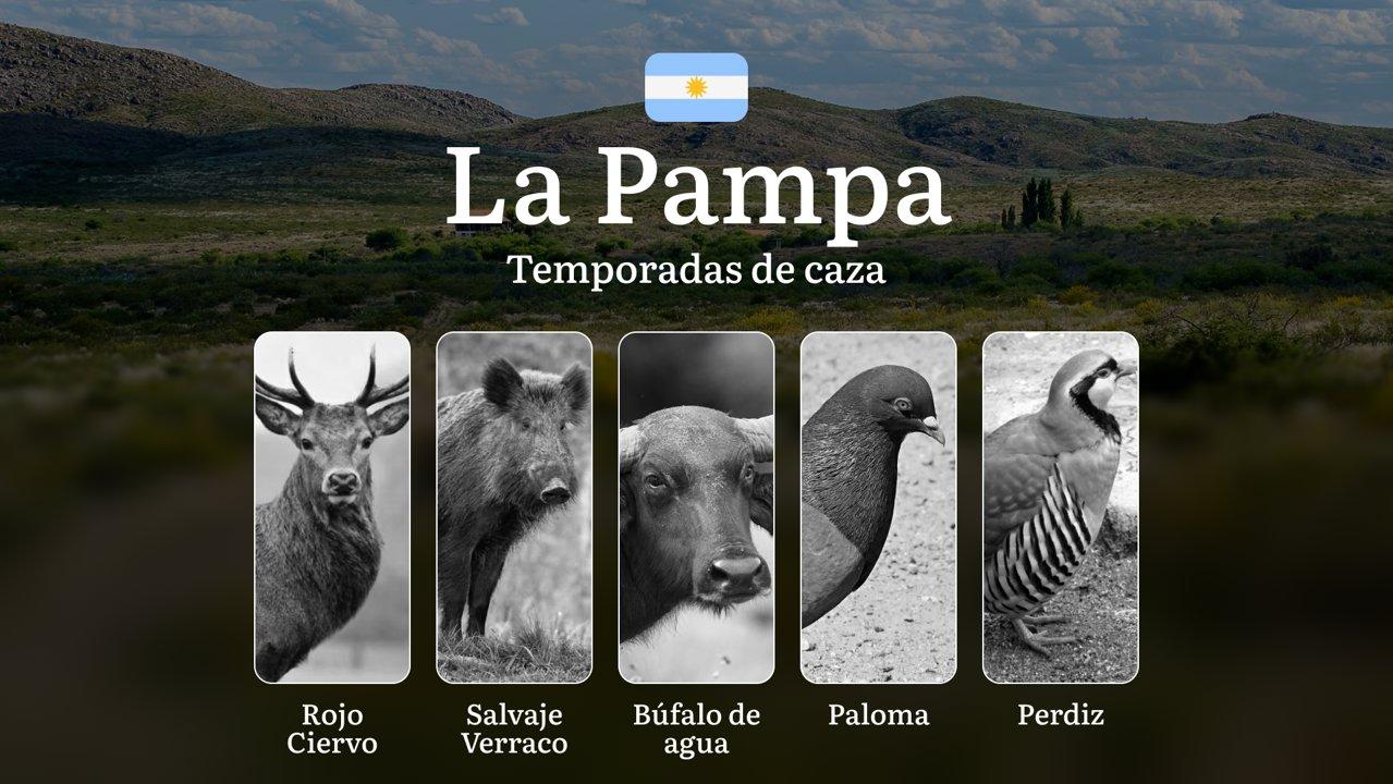 Caza en La Pampa: Guía Completa de Temporadas, Regulaciones y Trofeos en Argentina, Características Climáticas