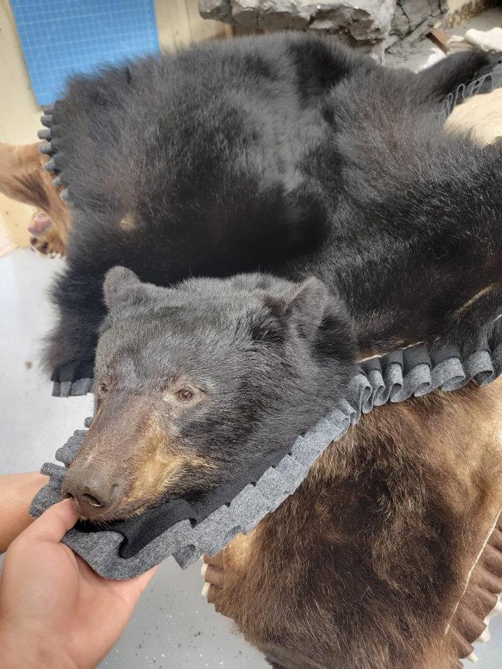 Pretty closed mouth sow.