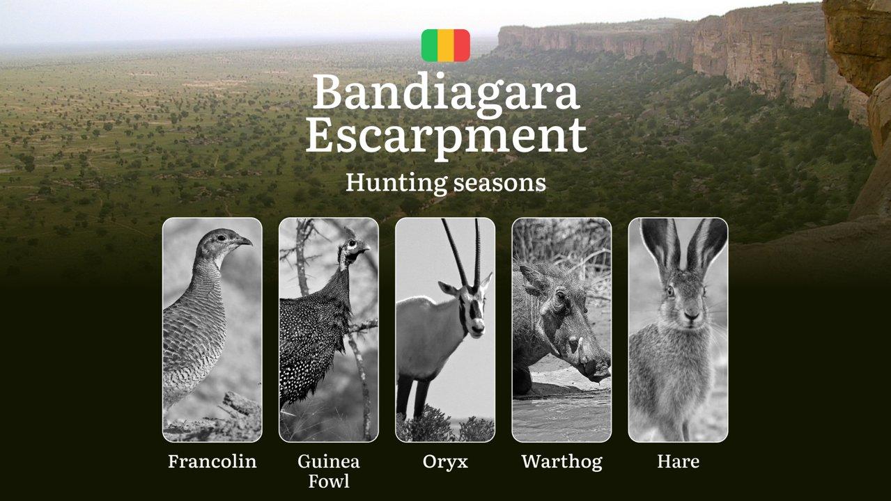 Hunting Seasons in Bandiagara Escarpment: Regional Regulations, Obtaining a Hunting License in the Region, Penalties for Violating Hunting Periods, Tips for Timing, Gear,