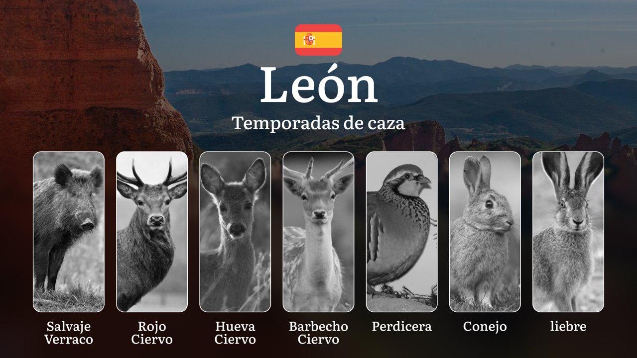 Temporadas y períodos de caza en LEÓN: Normativas, Épocas y Actividad de Presas, Cómo Obtener la Licencia en la Región