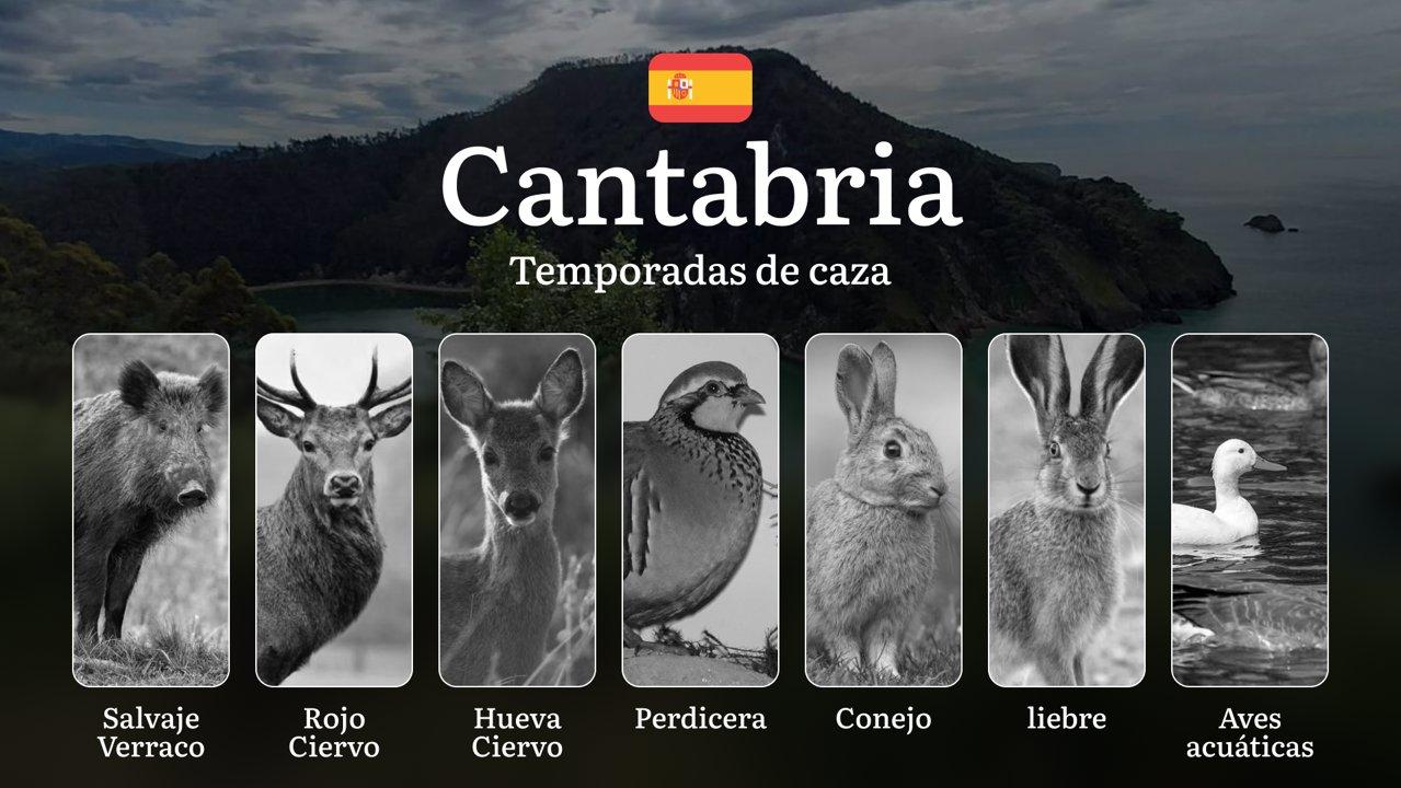 Caza en CANTABRIA: Temporadas y períodos de caza, Licencias y Mejores Épocas para Disfrutar de la Caza Responsable 