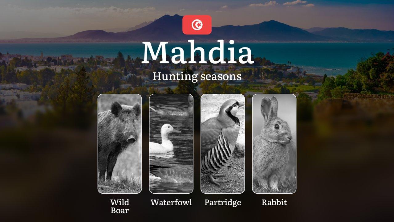 Hunting Seasons in MAHDIA: Key Dates, General Rules, Licensing Requirements and Practical Recommendations