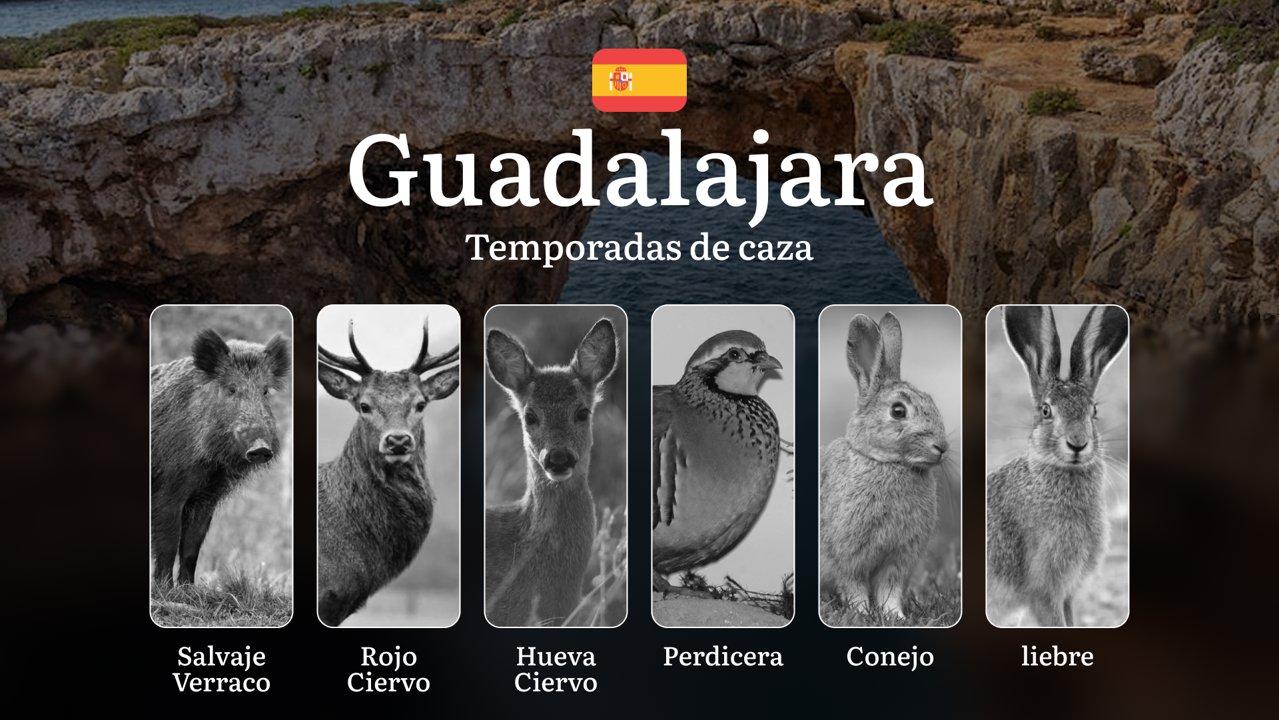 Temporadas y períodos de caza en GUADALAJARA: Normativas, Especies y Licencias – Todo lo que Necesitas Saber para Practicar la Cinegética en la Región