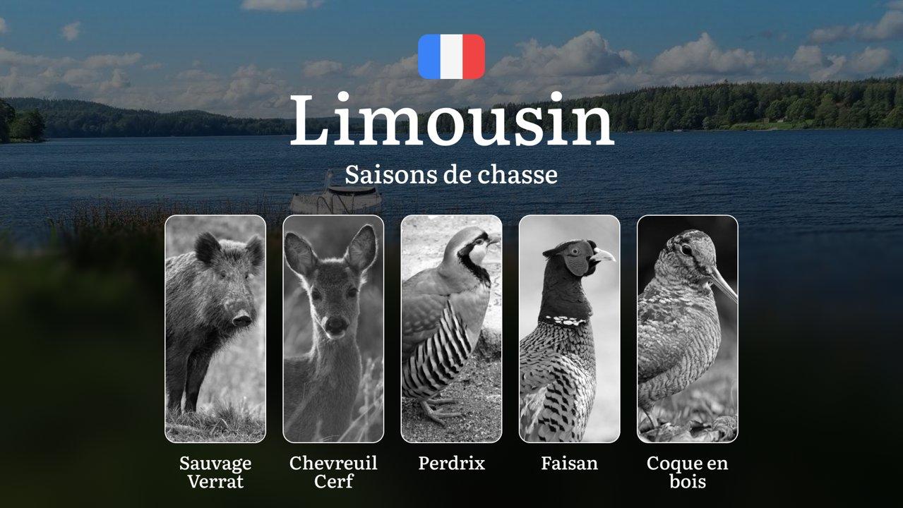 Saisons de Chasse en LIMOUSIN: Calendrier Complet, Meilleures Périodes, Espèces Protégées et Conseils Pratiques