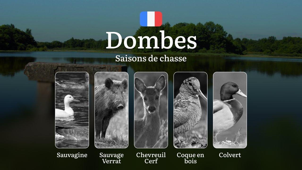 Saisons de Chasse en DOMBES: dates d’ouverture/fermeture, règles strictes, permis obligatoires et restrictions à connaître