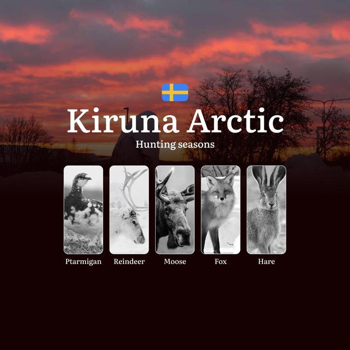 <strong>Hunting</strong> Periods and Local Rules <strong>in</strong> KIRUNA ARCTIC: Species You Can Hunt Throughout the Year, Seasonal Activity of Game, and the Steps to 