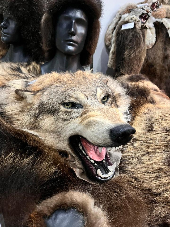 Закрытая Компания для охоты 