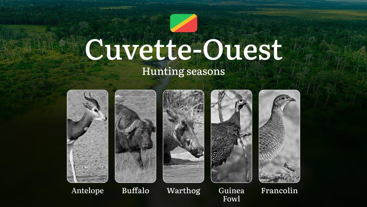 Hunting Dates in the Republic of the Congo: Cuvette-Ouest Region’s Hunting Periods, Tips and Tactics for Hunters, Licenses, Rules and Times for Hunting