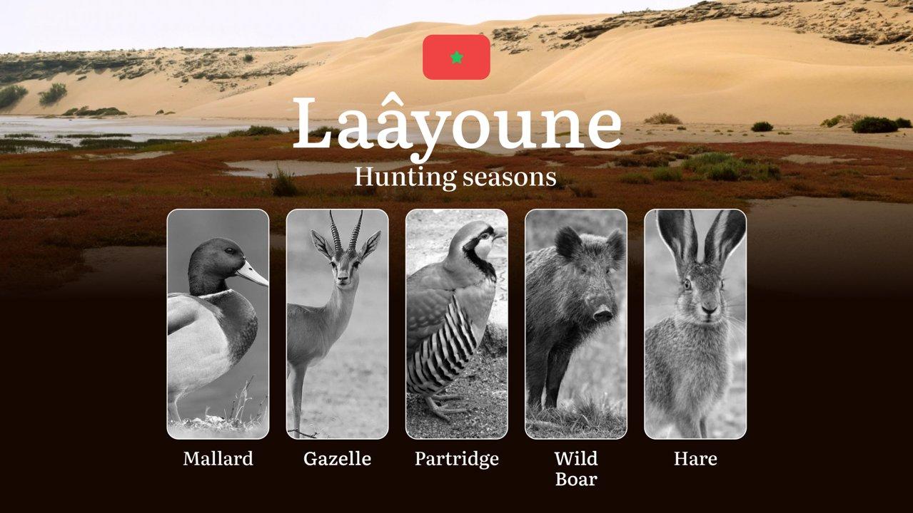 Hunting Periods and Local Rules in Laâyoune: Species You Can Hunt Throughout the Year, Seasonal Activity of Game, and the Steps to Get a Legal Hunting License in the Region 