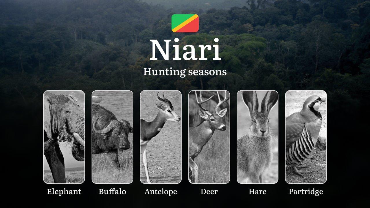 Hunting Dates in the Niari Region, Republic of the Congo: Periods and Seasonality, Rules and Tips for Hunters, Bans and Restrictions 