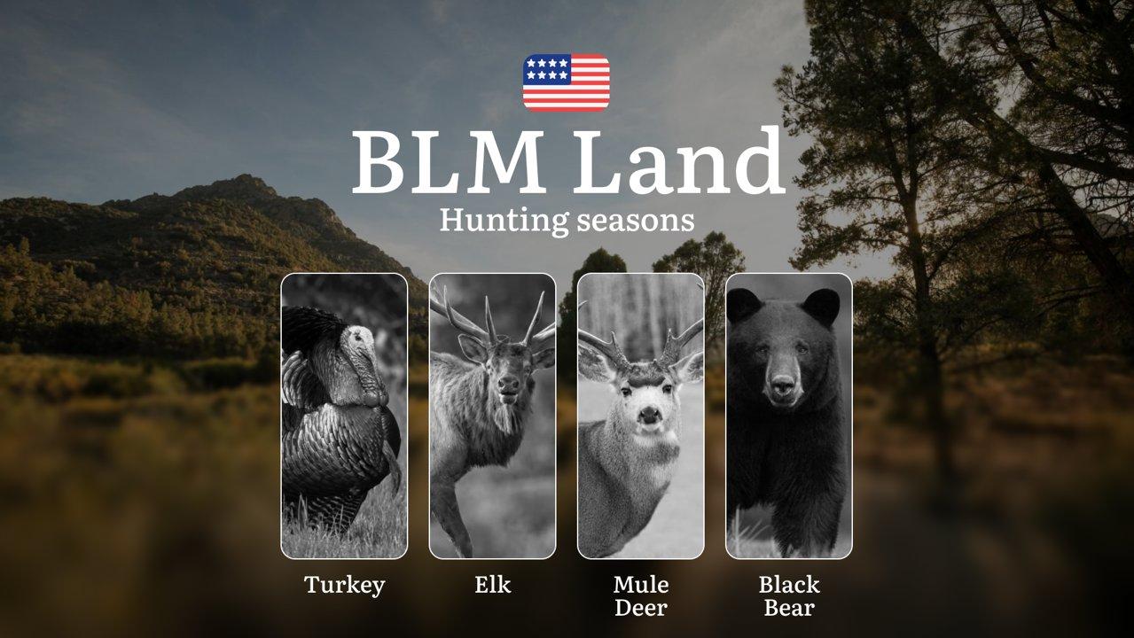 Hunting Seasons on BLM Land in the USA: Seasons, Open and Close Dates, Licenses, Rules, Prohibited Species