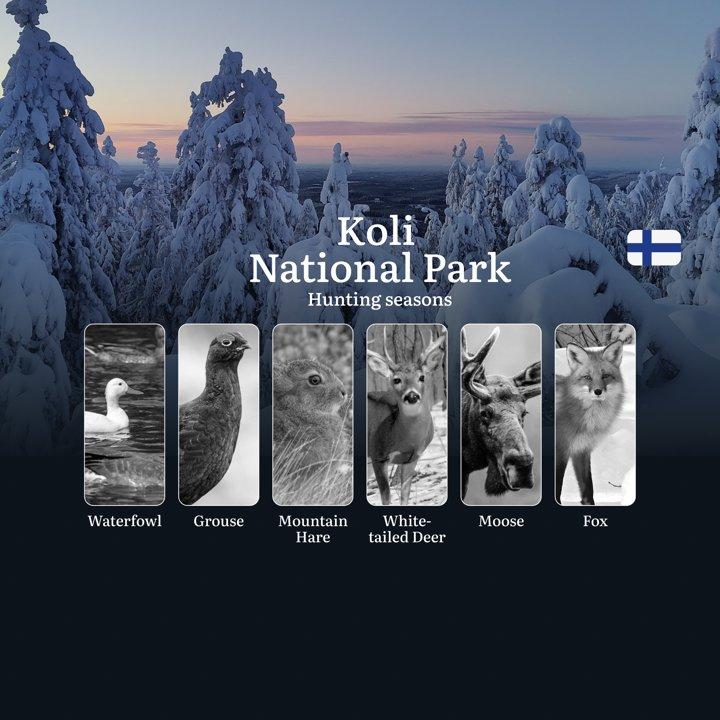 Hunting Seasons in KOLI NATIONAL PARK: Full Season Calendar, Licensing Information, Key Regulations and Restrictions 