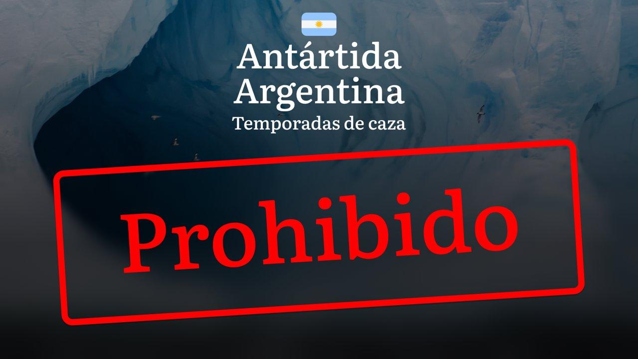 La región Antártida Argentina: normas y fechas de caza, restricciones y prohibiciones, licencias y ayuda de clubes de caza