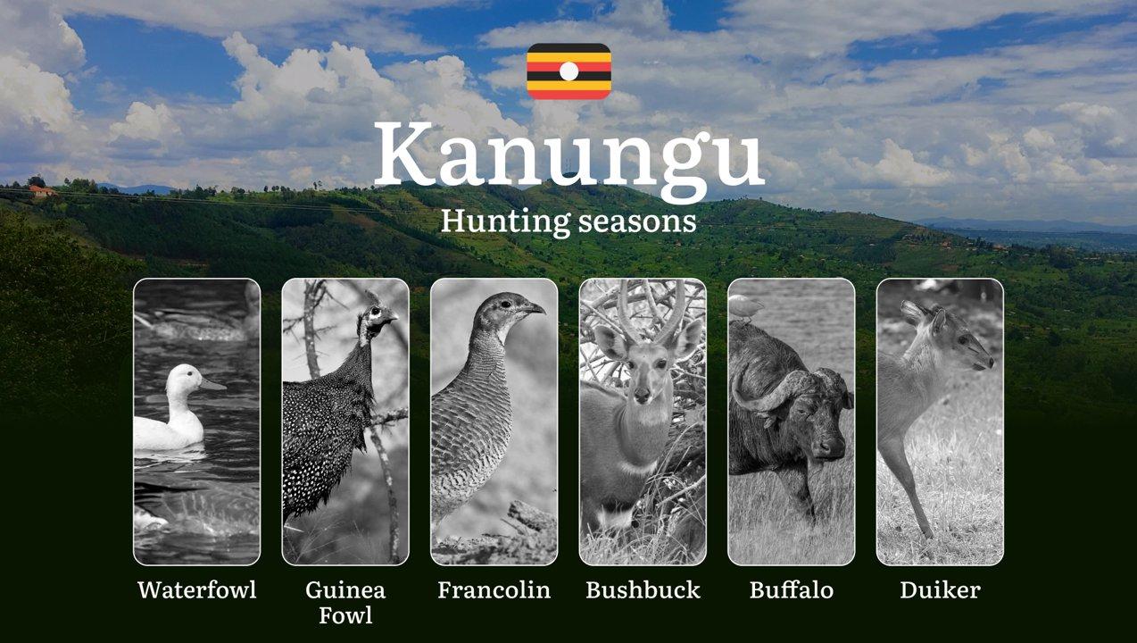 Hunting Season Dates in Kanungu: Regulatory Caps and Seasonal Closures, License Requirements, Penalties and Legal Outcomes for Infractions, Strategic Planning, Best Timing, Equipment Selection